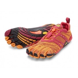 KMD EVO W